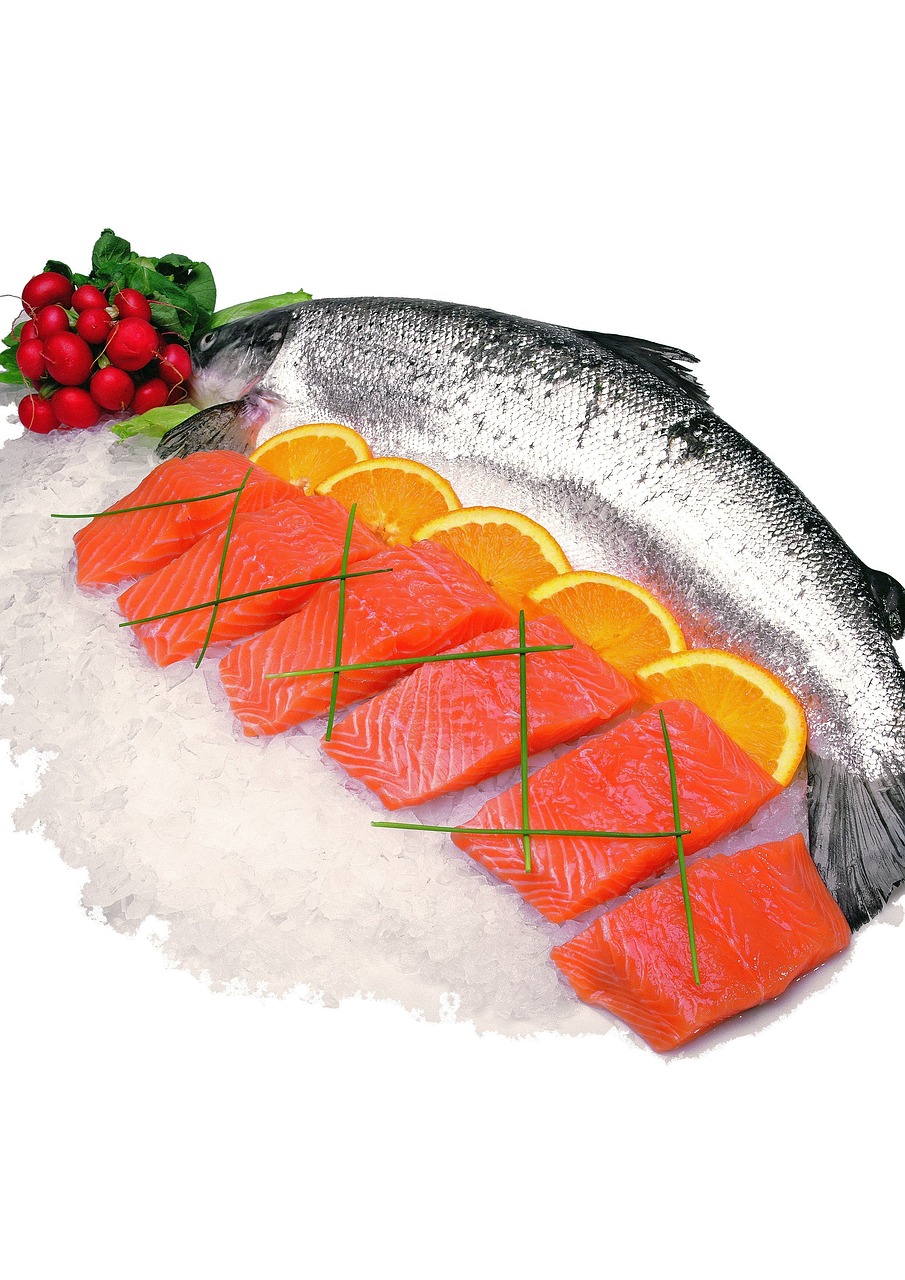 sea, fish, on ice, salmon, raw, food, nature, meat